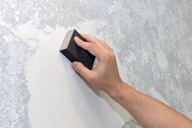 Best Real Estate Mold Inspection  in Dupo, IL