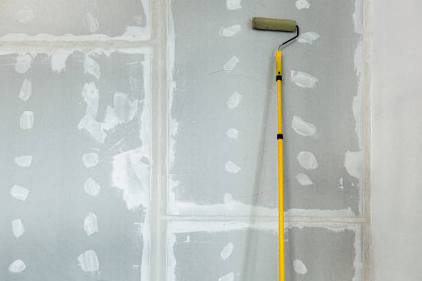  Dupo, IL Mold Removal Pros