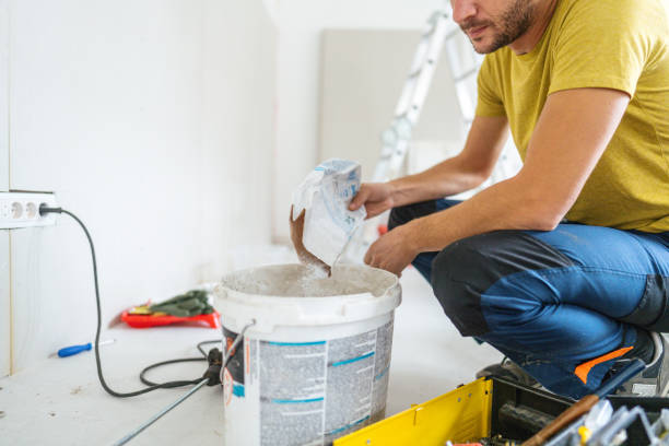Trusted Dupo, IL Mold Removal Experts