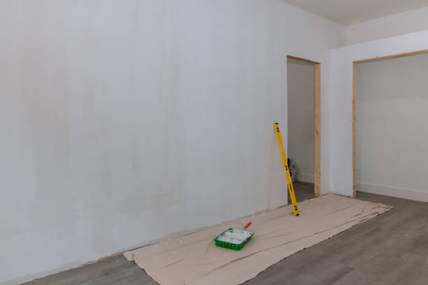 Best Crawl Space Mold Remediation  in Dupo, IL