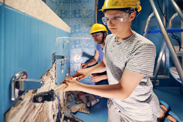 Best Mold Removal for HVAC Installations  in Dupo, IL