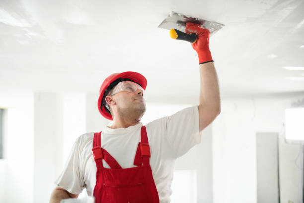 Best Dehumidification Services  in Dupo, IL