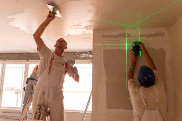Best Crawl Space Mold Remediation  in Dupo, IL