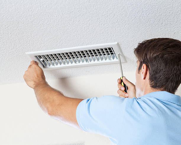 Best Real Estate Mold Inspection  in Dupo, IL