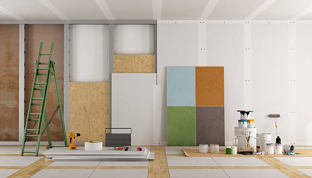 Best Water Damage & Mold Remediation  in Dupo, IL