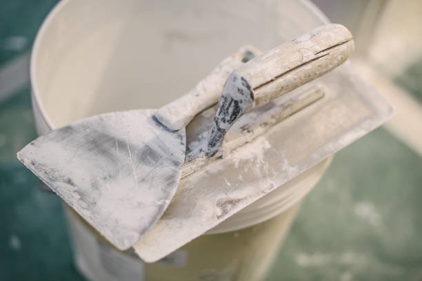 Best Environmental Consulting for Mold Prevention  in Dupo, IL